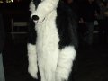 DSCF2842.JPG